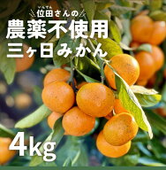 三ヶ日みかん 極早生 位田さんの農薬不使用みかん 4kg