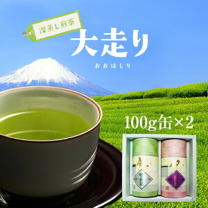 yizyÉz ɏ[呖100g2Zbgy_ƒz