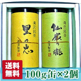 【静岡茶】仙厳の滝・里の恵み100g 缶セット【送料無料】【農家直送】