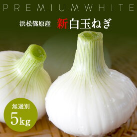 浜松篠原産 新玉ねぎ 【無選別】 新白玉ねぎ プレミアムホワイト 【5kg】 満天青空レストラン 辛くない！芳醇な甘さとみずみずしさが魅力【農家直送】【送料無料】