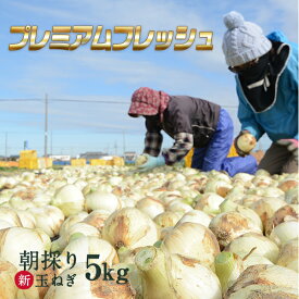 楽天市場 新玉ねぎの通販
