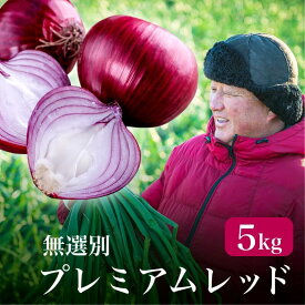 【たまねぎ】【新玉ねぎ】【浜松篠原産】【無選別】最旬！赤玉ねぎプレミアムレッド5kg 辛くないたまねぎ！みずみずしい自然の甘味とコクのある旨みが魅力のタマネギ【農家直送】