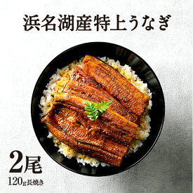 楽天市場 父の日 うなぎの通販 楽天市場 父の日 うなぎの通販