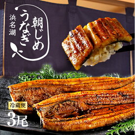 母の日 父の日 うなぎ 朝じめうなぎ 蒲焼き 3尾 (1尾約150g×3）【冷蔵便】 国産 うなぎ 長蒲焼き 発送当日の朝に活鰻をさばいてお届け！ 食べ物 食品 お中元 父の日 お歳暮 贈答 ギフト