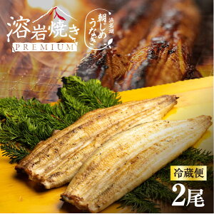 お中元 うなぎ 浜名湖産 朝じめうなぎ 溶岩焼き 白焼き 2尾 【冷蔵便】 ギフト 父の日 母の日