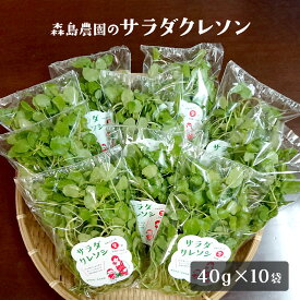 サラダクレソン 40g×10袋セット サラダ 野菜 クレソン
