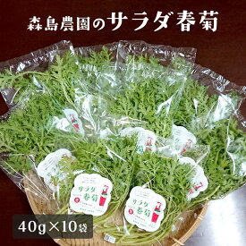 サラダ春菊 40g×10袋セット サラダ 野菜 春菊