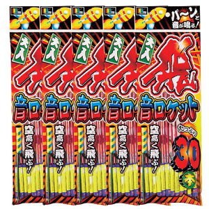 Pbgԉ EPbg30{×5܃Zbg