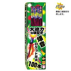 ☆最短翌日配送☆爆音ロケット（100本入）【ロケット花火 上空で音 鳥獣 威嚇 害獣 対策 鳥追い 鳥よけ】