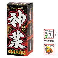 国産噴出花火　神業　三州火工 日本製
