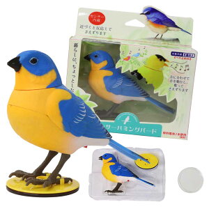 y10%OFFIzy    쒹 v[g m 6Έȏ ZT[ ̂ NX}X a Mtg u  ߋ tBMA z ZT[n~Oo[h (u[^CG