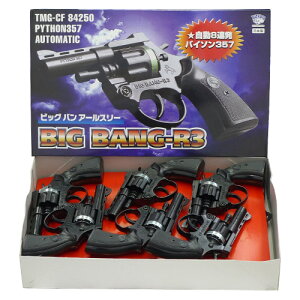 �Ζ�e �s�X�g�� ��������@�Ζ�eBIG-BANG-R3�i12���j ���{��