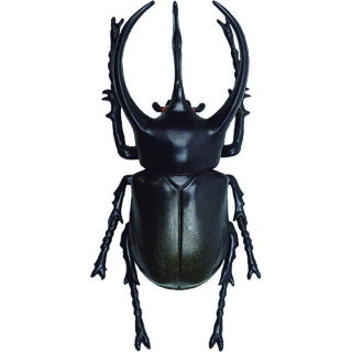 楽天市場 カブトムシ おもちゃ 立体昆虫図鑑 世界のカブトムシ Eおもちゃやさん楽天市場店