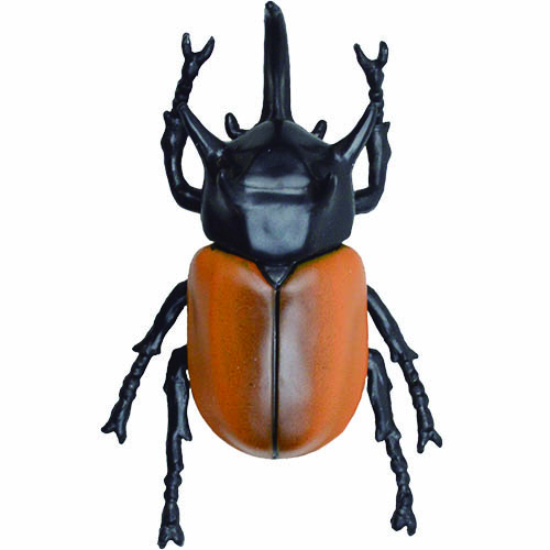 楽天市場】カブトムシ おもちゃ 立体甲虫図鑑 世界のカブトムシ : e