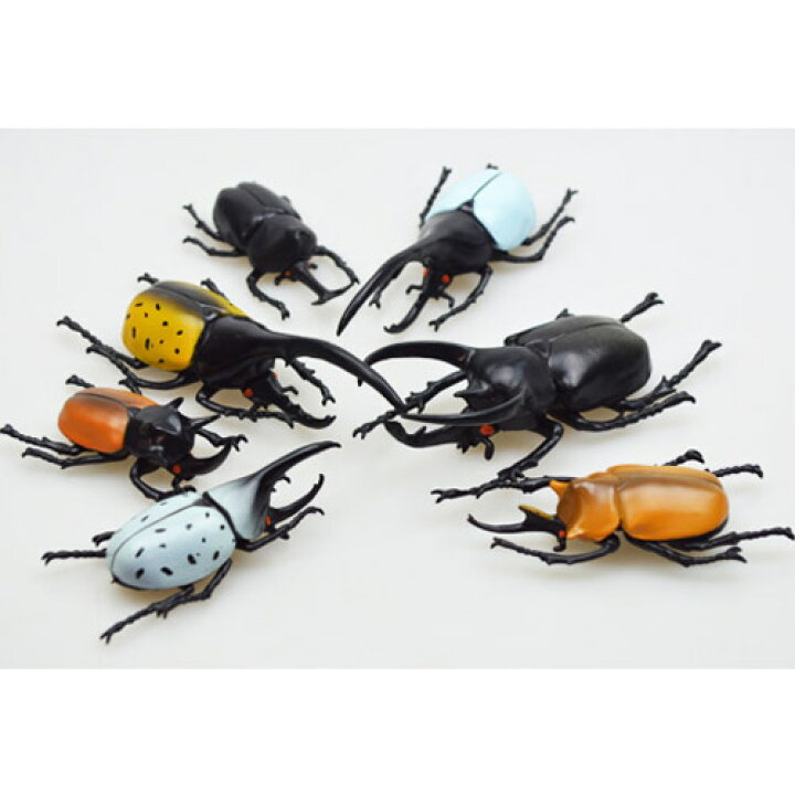 ポイント用 カブトムシおもちゃ 81 以上節約