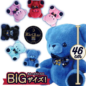 y ʂ  傫 v[g  NX}X a ii rS ẑ܂ BIG starB@S6