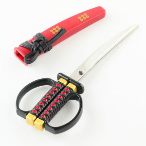 lR|XΏ {͂ ^cKf SW-30S ւ̐n ؂p jbPn