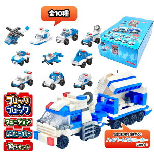 �u���b�N���u���b�N�t���[�W�������X�L���[�u���[ �S10�� (10����)