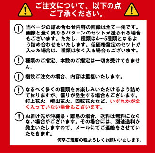 ★限定100セット!通常価格から100円引き!バラエティ豊かな花火セットが4〜5種類!いろどり花火セット福箱詰め合わせ内容指定不可子供会景品ビンゴ対象地域あす楽可