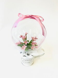 2021 ̓@o[ t[ AWg rbNɁyMtgEv[gzyԋzy̓zyMtgz