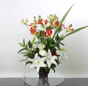 ƃOIT̃AWgyԁzyAWz ւ̃x[Xɂ؂₩ȃAWgBJƁEJXĚjyEẴMtgɁzyN[ցz