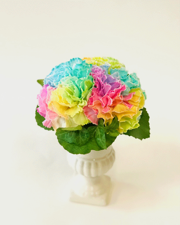 楽天市場】2025 レインボーカーネーションのヨーロピアンスタイル