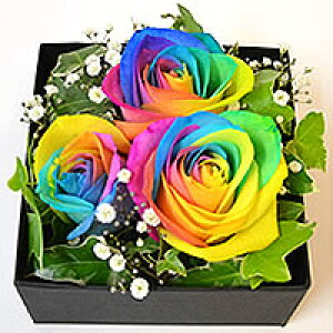 2025 ̓yC{[t[{bNXɃAWgzC{[t[Et[{bNXԋy̓̃MtgɁIzyjzyLOzyazyN[ւ