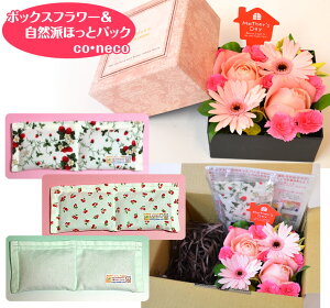 {bNXt[@@RhقƃpbN@coEneco@i˂jyt[{bNXzy̓z@yԋz