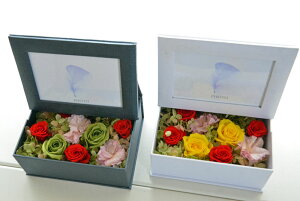 tHg{bNX vU[uht[@̓Ȃǂ̃MtgɍœK@yԋzyyMt_bZzy̓Mtgzy̓zyhV̓zyNX}XztHg{bNX@vU[uht