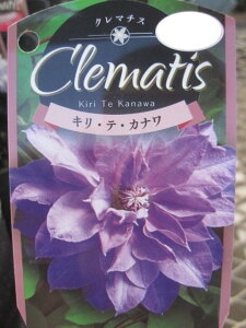 dN}`XcLEeEJipeXnϊh 1Nc