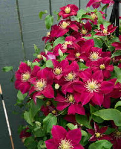 N}`XcGsX@1NcV}炫̒Z^Cvi120Z`炢jϊh