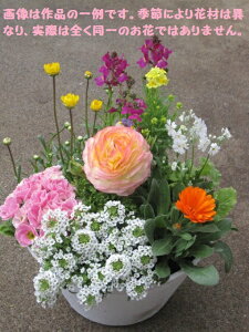 G߂̊񂹐AyԊFt܂Łzyz