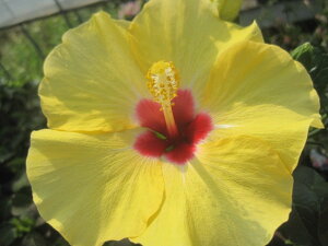 nCrXJXc AhjX@CG[ 10.5Z`|bg