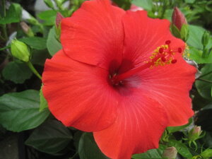 nCrXJXc AtfB[e 10.5Z`|bg