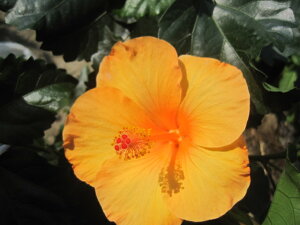 nCrXJXc JCiu[YiIWj 5