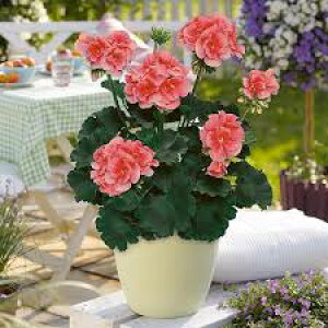 h{n[jE@i@iT[Fj@@|bgc