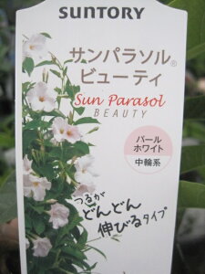 ガーデニング パラソル 苗の人気商品 通販 価格比較 価格 Com