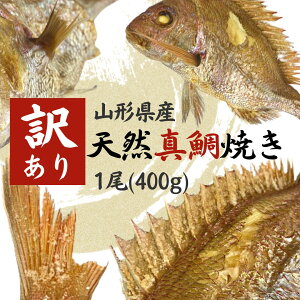 【訳あり 天然真鯛焼き 】食品 魚 山形県産 鯛の塩焼き 焼き鯛 尾頭付き 鯛めし お得 お取り寄せ 焼き魚 アウトレット