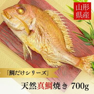 焼き鯛 700g【鯛だけシリーズ】お食い初め 山形県産 祝い鯛 天然 真鯛 焼鯛 塩焼き マダイ 鮮魚 海鮮 尾…