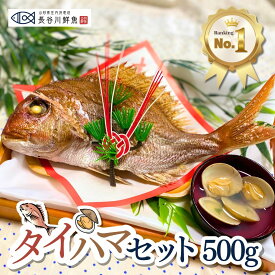 ＼new／お食い初め 鯛『タイハマセット』鯛500g(2～3人前サイズ) 蛤のお吸い物2食 祝い鯛山形県産 塩焼き 料理 はまぐり 尾頭付き 焼き鯛 鯛飾り 100日祝い