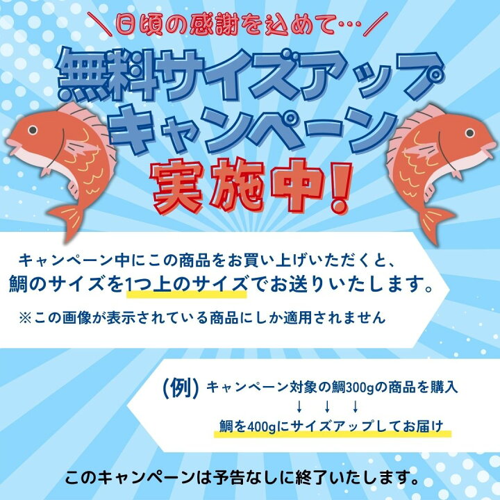 楽天市場】【無料サイズアップキャンペーン実施中】お食い初め 鯛 