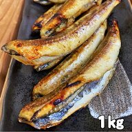 ニギス 干し 1k（500g×2) 冷凍 山形 新潟県産 無頭 メギス 沖ギス ギス 一夜干し 干物 バーベキュー お…