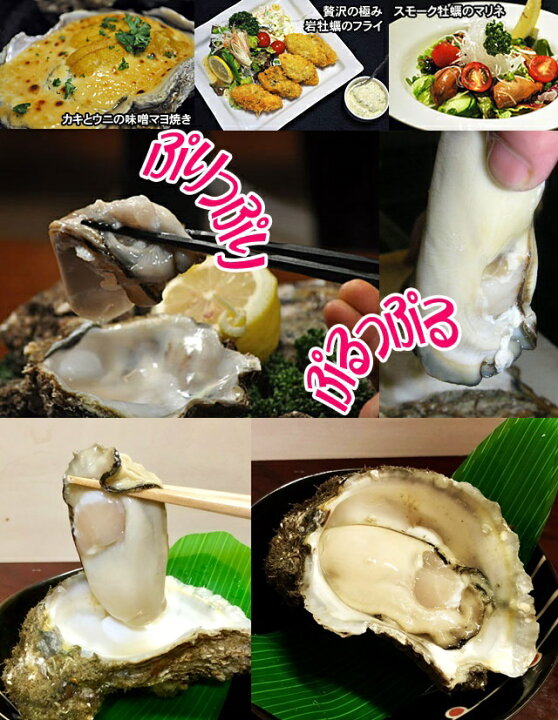 楽天市場 岩牡蠣 天然 日本海産 大10個 2 6 3 0ｋ 殻付き 生食 カラ割り 岩ガキ お中元 ギフト 贈答 バーベキュー 山形 鮮魚と特産品の店長谷川