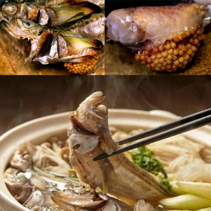 楽天市場 子持ち ハタハタ 大 1 5kg 500g 3p 18 21尾 生冷凍 東北 山形県産 天然 旬 ぶりこ ブリコ メス 鮮魚 はたはた 鰰 あす楽 楽ギフ のし 楽ギフ のし宛書 山形 鮮魚と特産品の店長谷川