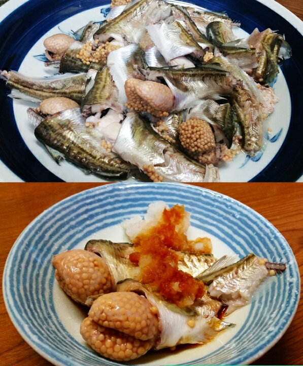 楽天市場 子持ち ハタハタ 大 500g 6 7尾 生冷凍 東北 山形県産 天然 旬 ぶりこ ブリコ メス 鮮魚 はたはた 鰰 あす楽 楽ギフ のし 楽ギフ のし宛書 山形 鮮魚と特産品の店長谷川