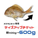 サイズアップチケット【鯛400g→600g】カスタムセット専用オプション 600gにサイズアップ