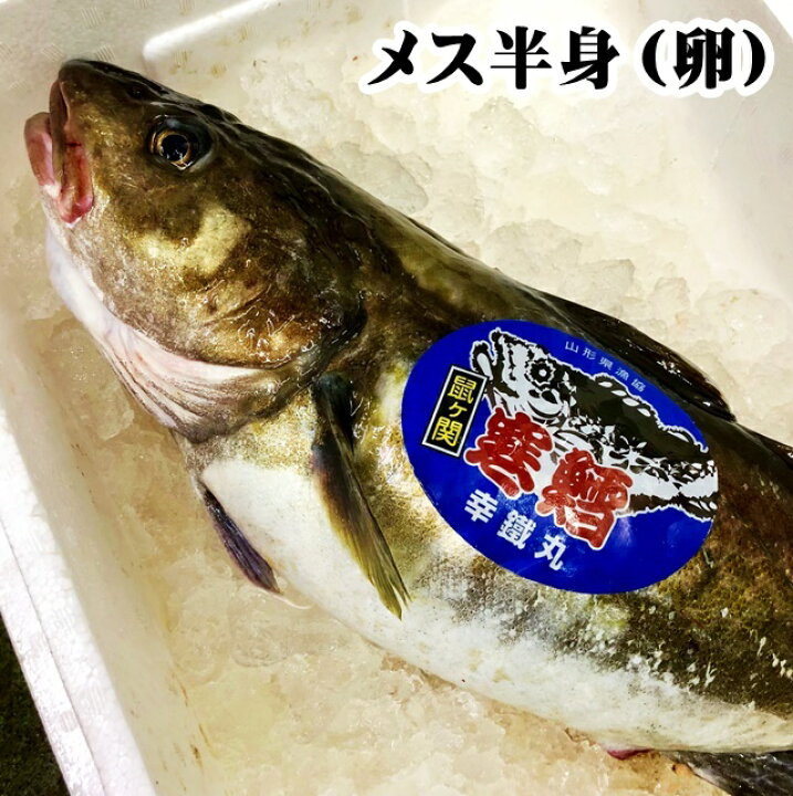 楽天市場 真鱈 寒鱈 メス たらこ 約4ｋｇ半身 切身4 5人前 山形県産 マダラ 真ダラ 寒ダラ 鱈 1月中旬より順次発送 山形 鮮魚と特産品の店長谷川