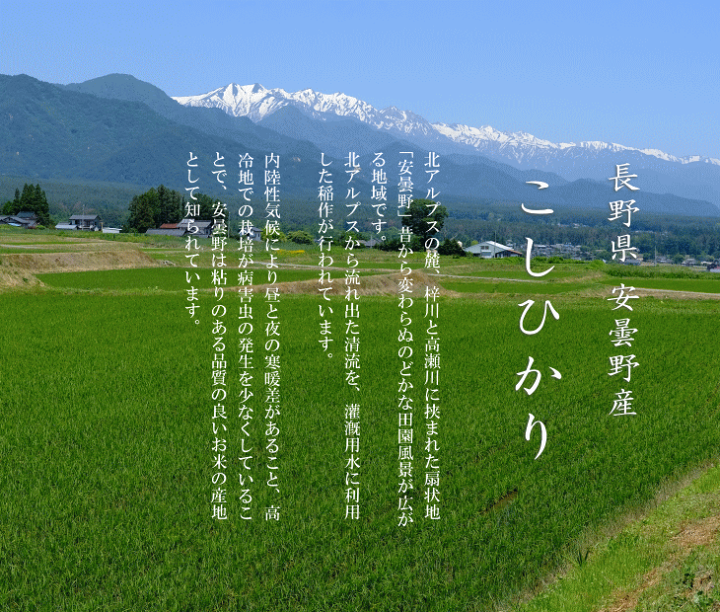 楽天市場】令和6年産 長野県 安曇野産 こしひかり 1等米 玄米 楽天市場】令和6年産 長野県 安曇野産 こしひかり 1等米 玄米
