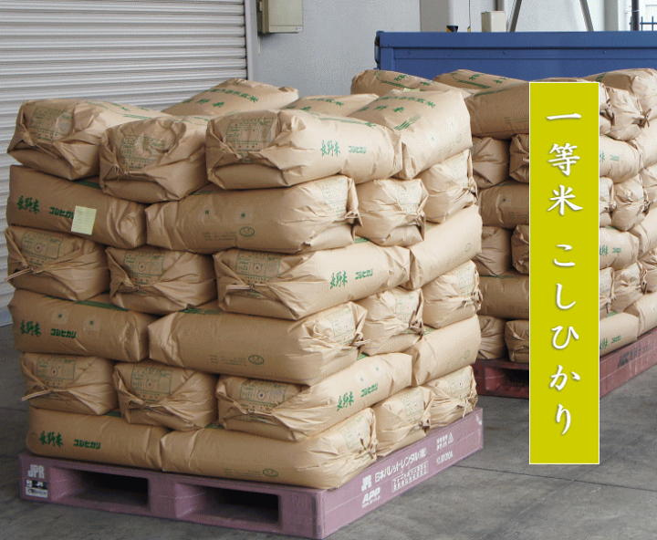 長野県産 こしひかり 幻の米 飯山みゆき米 １等米 令和３年産 白米 ２０ｋｇ 送料無料 : 林屋 店