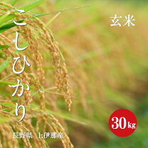 楽天市場】長野県 玄米 30kgの通販